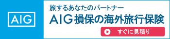 AIG損害保険株式会社